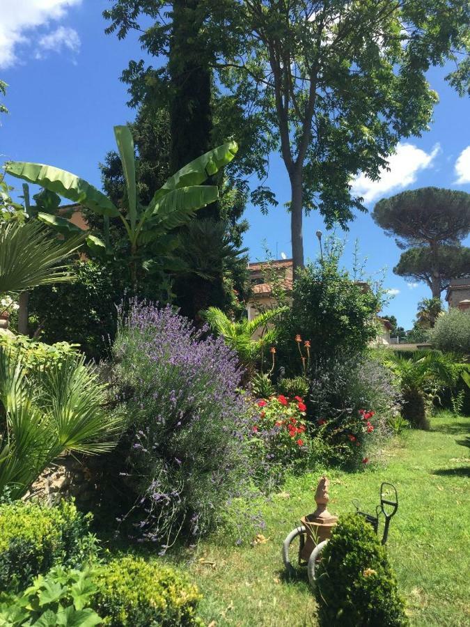 Edy House Apartamento Castiglione In Teverina Exterior foto